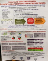Iniciativas Sanitarias Contra el Aborto Provocado en Condiciones de Riesgo